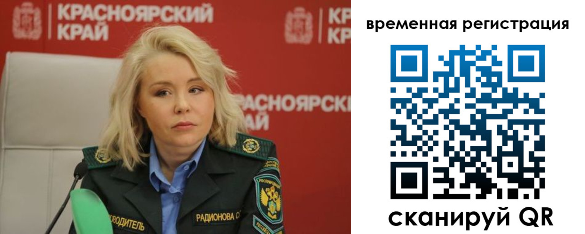 прописка поиск в Щёкино