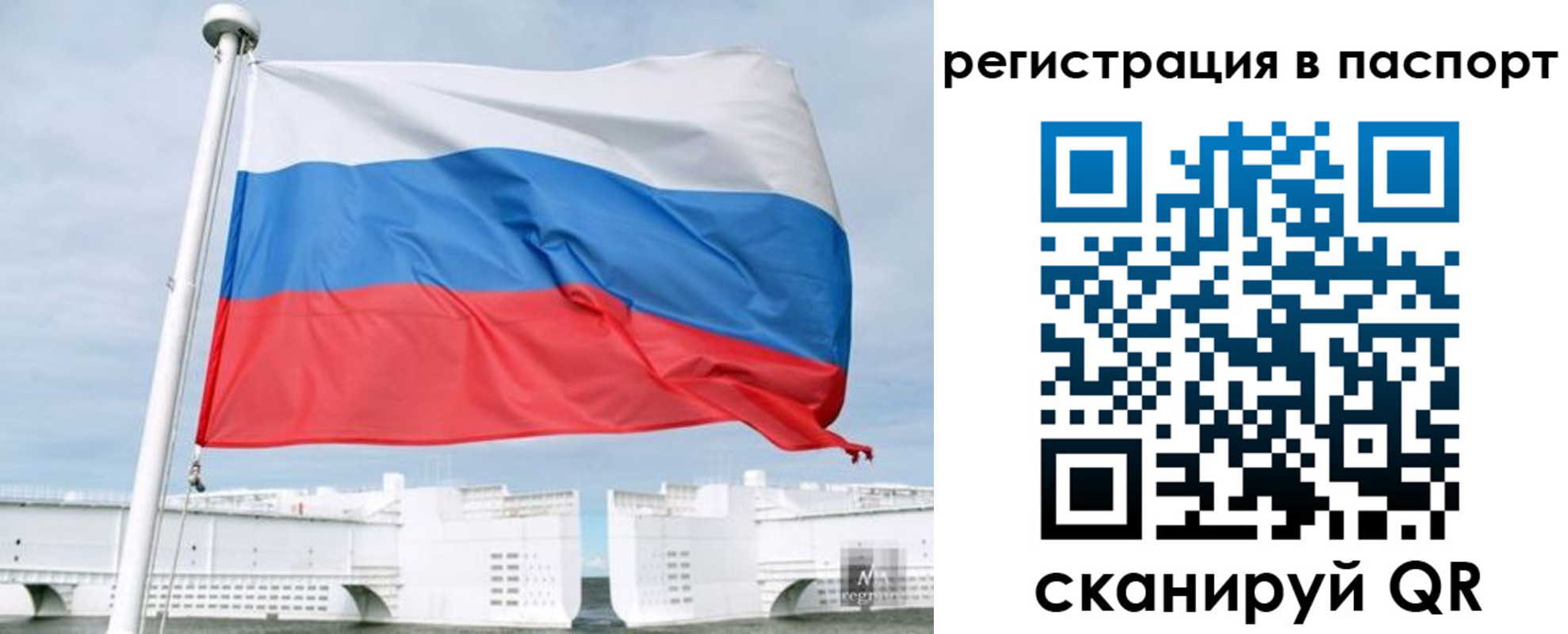 регистрация в Щёкино